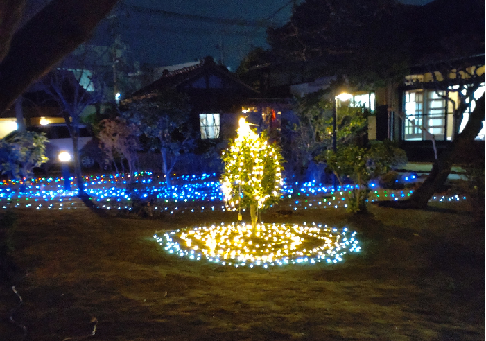 例会会場のクリスマスイルミネーション点灯式に参加して参りました。